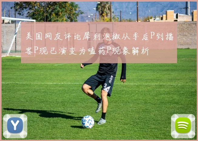 美国网友评论犀利泡椒从季后P到播客P现已演变为嗑药P现象解析