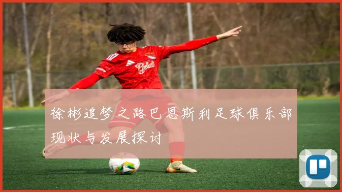 徐彬追梦之路巴恩斯利足球俱乐部现状与发展探讨
